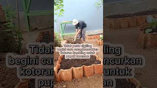 Download lagu Easy way to ferment goat manure so it breaks down quickly mp3