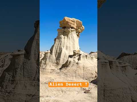 A Desert Adventure: Valley of Dreams New Mexico