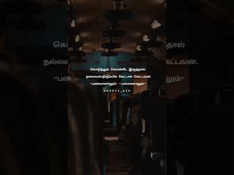 Follow & Support crazyy   bgm  HashTag  #reelsinstagram #reels #lovequotes #lo