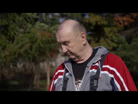 Romanovske ovce u Sumadiji - U nasem ataru 738