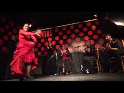 Amazing Flamenco Show in Los Tarantos Barcelona