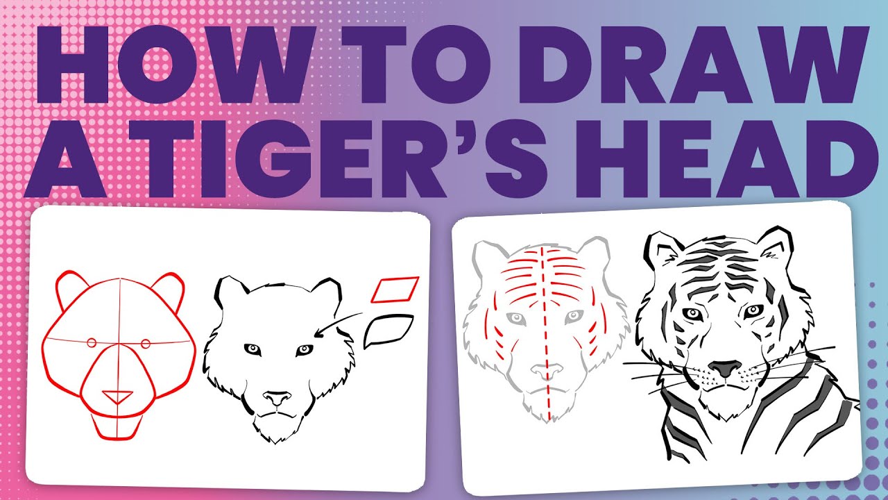 How to draw a tiger&rsquo;s head