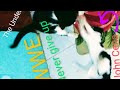 He Plays Like WWE Attack John Cena Tuxedo Kitten Never Give Up Cat S Funny Fighting Skill