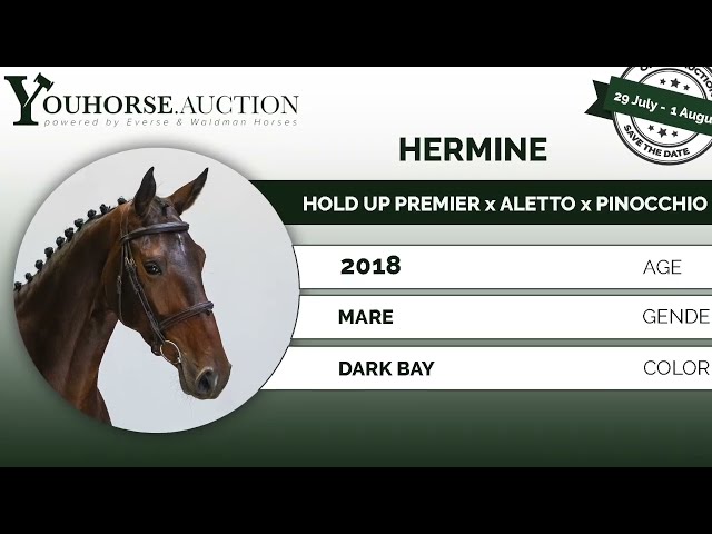 Hermine @ show