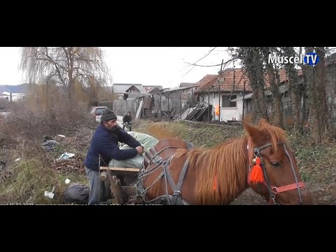 Jurnal MUSCEL TV 15.12.2021 Persoane prinse aruncând gunoi în loc nepermis