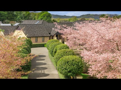 155 Amelia Place, Cambridge, Waipa, 4 ਕਮਰੇ, 2 ਬਾਥਰੂਮ, Lifestyle Property