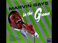 Marvin Gaye Tear It Down