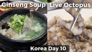 Live Octopus &amp; Chicken Ginseng Soup (Day 10) - YouTube