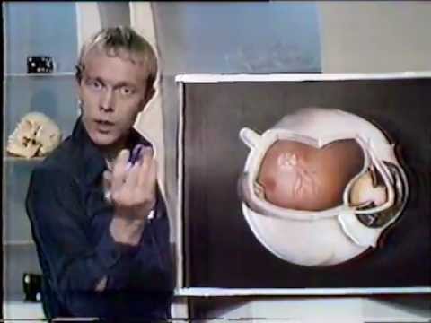 Use Your Head Episode 2 Part 1 - You And Eye