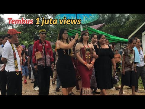 TRADITIONAL WEDDING PROCESSION IN THE DAYAK VILLAGE OF KALIMANTAN #borneogo #kalimantan