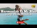 Harmonize ft Mr Blue Inanimaliza Lyrics (Official music audio mp3)