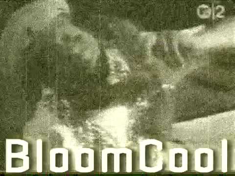 2 Live Crew vs Driftwood - Me so loaded (Bloomcool Remix) VideoMash Up
