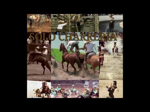 Top 5: Las manganas por las que mueres