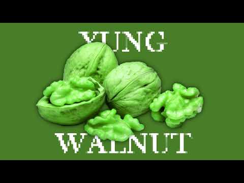yung walnut - grass 2