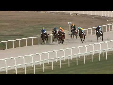 2021.03.21. 05. futam - NYERETLENEK VERSENYE (V.kat.)(szintetikus pálya)