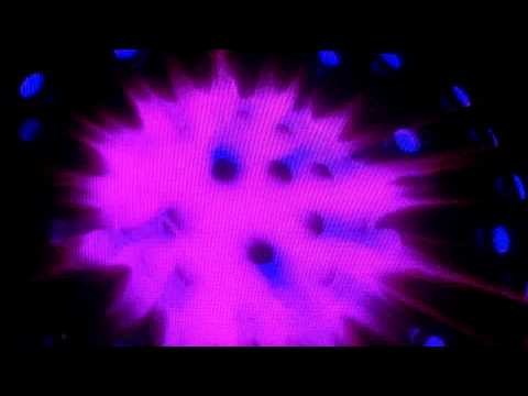 ATB - Alright 2011 (Marcus Schossow Remix) @ TAO Las Vegas, 4 of 19, 01-20-2012, 1080p HD