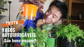 Miniatura do vídeo