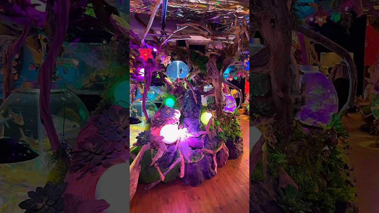 Amazing ANIMAL PARK IN JAPAN. #fly #travel #asiancountry #foryou #travel #animal