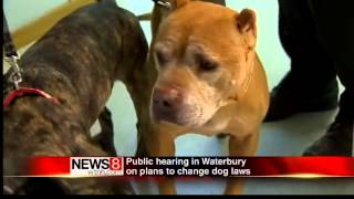 preview picture of video 'Waterbury dog law changes'