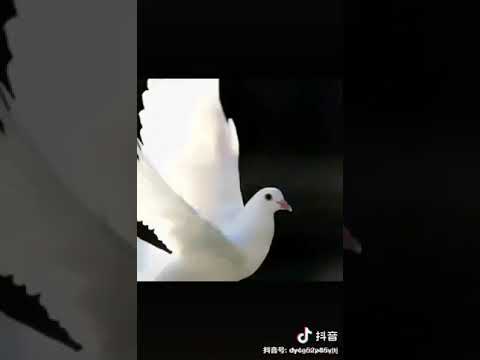 Сән кәлмисәң баhaр боламду.