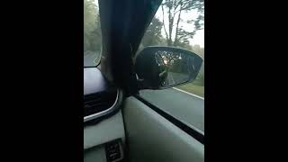 Download lagu Story' WA IG nyetir mobil siang hari mp3