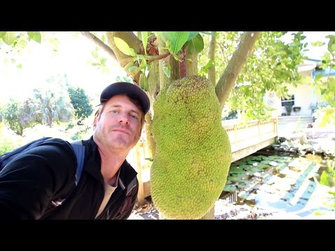 ECHO Farm: A Botanical Garden of Edible and Useful Tropical Plants