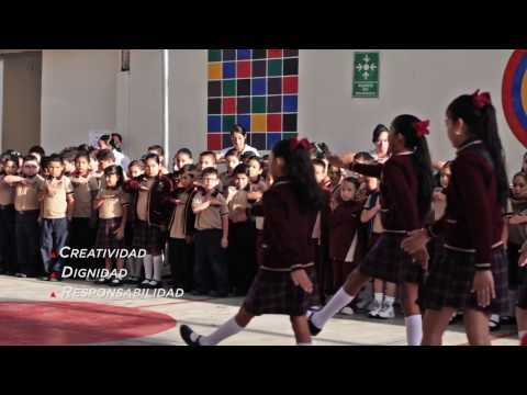 Colegio Vizcaya Primaria - Aprender para crecer