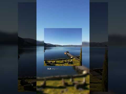 LAGO TOTA ESPEJO DE AGUA #datos #datoscurisos #sabiasque #lagos #boyacá