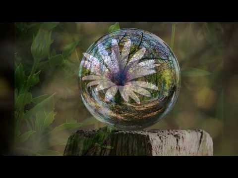 FLORIN STEFAN - Isus este pacea