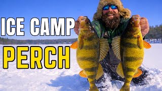 -20° Ice Camping Paid Off (Giant Perch & Surprise Crappie