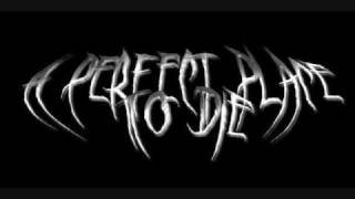 Nobody's Perfect (screamo)