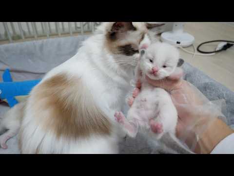 YouTube 썸네일
