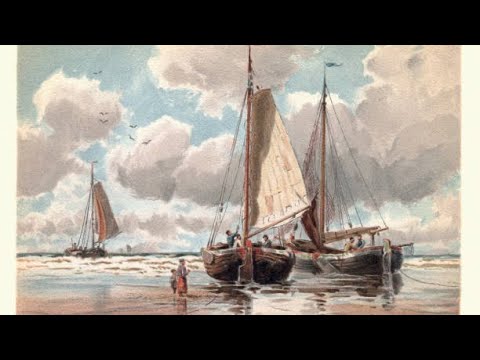 Daniel si Sebastian Schipor |  Însingurat căutam