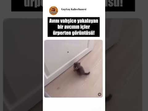 Off bu görüntüyü yayınlamamak lazımdı♥