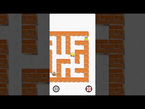 Maze Quest Video