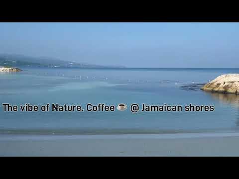 Jamaican Beautiful Beaches #jamaica #beaches #bluewatersisland #vacationvlog @SecretsResorts