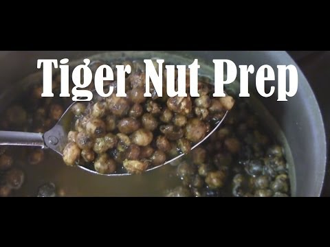 How to properly prepare tiger nuts for carp fishing tutorial