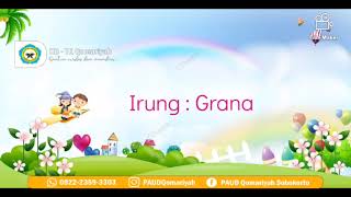 Download lagu Anggota Tubuh dalam Bahasa Jawa mp3