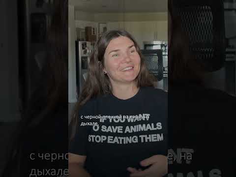 Как война убивает море #shorts