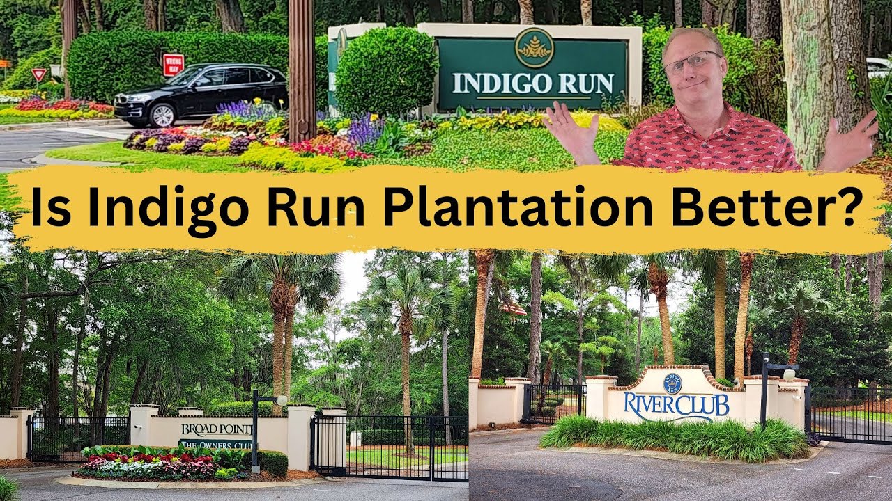 Indigo Run Plantation Discovery Tour: Is It Worth Considering?