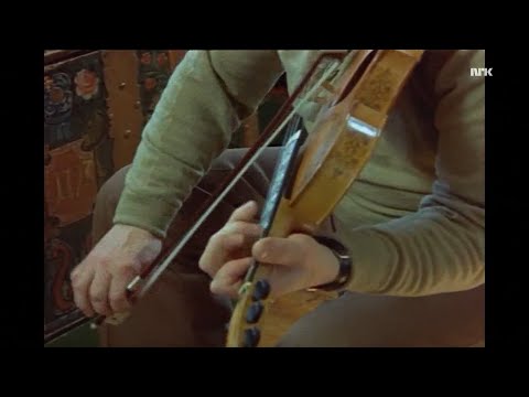 Hauk Buen - Sevlien (hardanger fiddle)