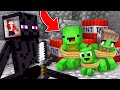 JJ Control Enderman MIND to KIDNAP Mikey Family in Minecraft ! - Maizen