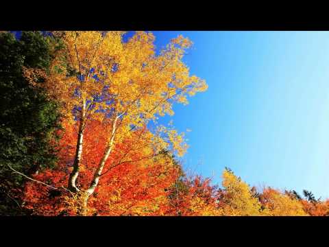 Konsta - Autumn