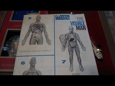 The Future Presents 1959 Renwal Blueprint Models The Visible Man Assembly Kit Retro Review