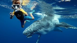 4 YR OLD SWIMMING WITH WHALES