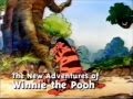 Playhouse Disney The New Adventures Of Winnie The Pooh Promo Just In Time 1999