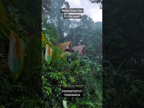 Unique Stay in Munnar 🍃- Tree hut 🦋 - Explore Munnar - Kerala - #travel #shorts #explore