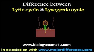 Difference between Lytic and Lysogenic cycle of Bacteriophage