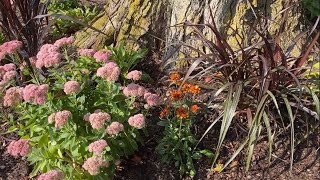 Decorating Our Front Entry Flower Beds For Fall | EverCrest