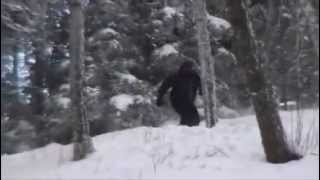 preview picture of video 'BOLTON VALLEY VERMONT - BACK COUNTRY DEEP POWDER'